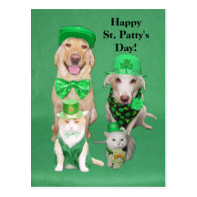 St. Patty's Day Get Together Post Card