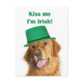 St Patty's golden retriever Postcards