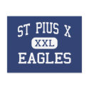 St Pius X - Eagles - High - Albuquerque New Mexico postcards