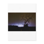 St Vrain Tree Lightning Storm Post Cards