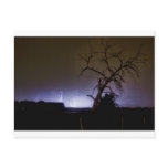 St Vrain Tree Lightning Storm Post Cards