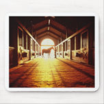 Stable-Hands Mouse Pads