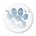 Stabyhoun Granddog magnets