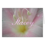 Stacey cards