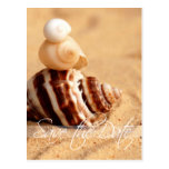 Stack of Conch Shells Save the Date Postcard