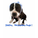 Staffies t-shirts