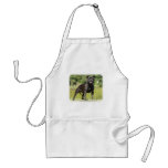 Staffordshire Bull Terrier aprons