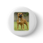 Staffordshire Bull Terrier buttons