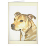 Staffordshire Bull Terrier Card