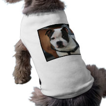 Staffordshire Bull Terrier Doggie T-shirt