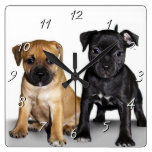 Staffordshire Bull Terrier dogs square clock