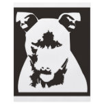 Staffordshire Bull Terrier flyers