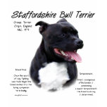 Staffordshire Bull Terrier History Design t-shirts