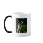 Staffordshire Bull Terrier Mug