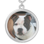 Staffordshire bull terrier pendant