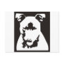 Staffordshire Bull Terrier