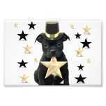 Staffordshire bull terrier puppy photographic print