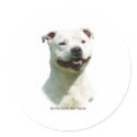 Staffordshire Bull Terrier stickers