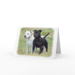 Staffordshire Bull Terriers cards