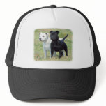 Staffordshire Bull Terriers hats
