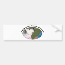 Staffordshire Rescue Scotland Bumper Sticker