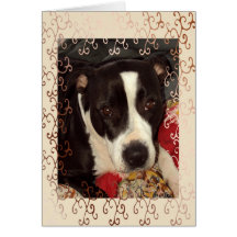 Staffordshire Terrier Blank Cards