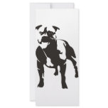 Staffy rack cards