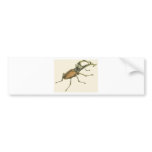 Stag Beetle Bumper Stickers
