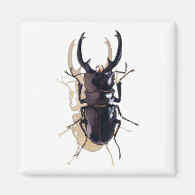 "Stag beetle" Insect Watercolor Art Fridge Magnets