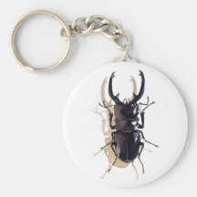 "Stag beetle" Insect Watercolor Art Key Chains