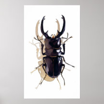"Stag beetle" Insect Watercolor Art Print