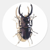 "Stag beetle" Insect Watercolor Art Sticker