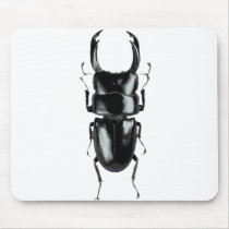 Stag beetle mousepad