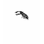 stag beetle t-shirts