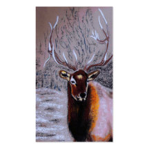 stag_ business card