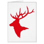 stag! cards