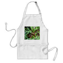 Staghorn Fern Apron