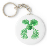Staghorn Fern keychains