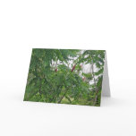 Staghorn Sumac Note Card