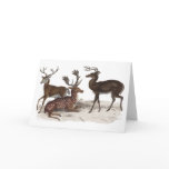 STAGS BLANK CARD