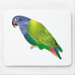 Stained Glass Pionus Parrot Mouse Pad
