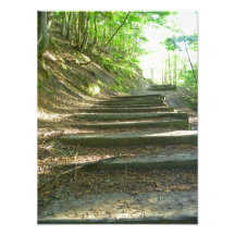 Stairs Up To The Forest Photographic Print