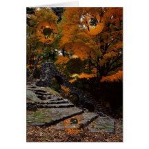 Stairway to ...Heaven? Greeting Cards