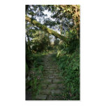 Stairway to the trees business cards