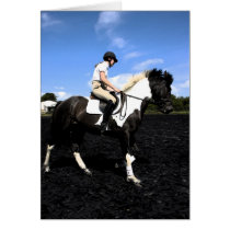 stallion fresco card