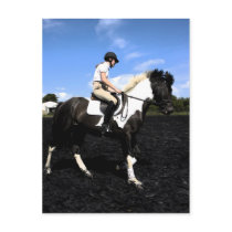 stallion fresco postcard
