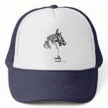 Stallion hats