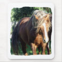 Stallion Horse Rough mousepads