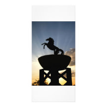 Stallion rack cards