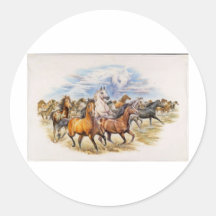 Stallion Stampede Stickers